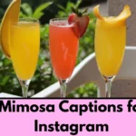 Mimosa Captions for Instagram