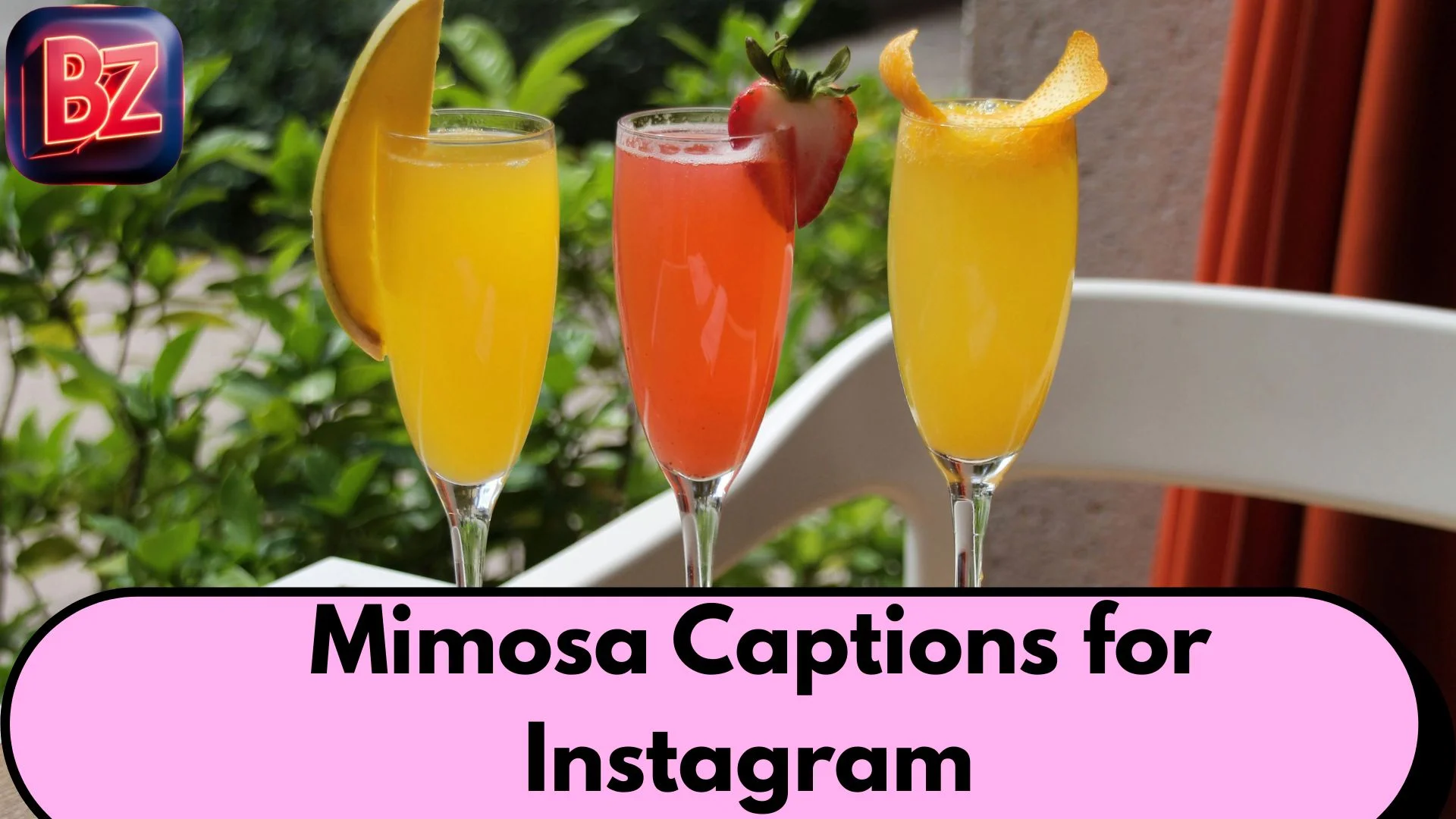Mimosa Captions for Instagram