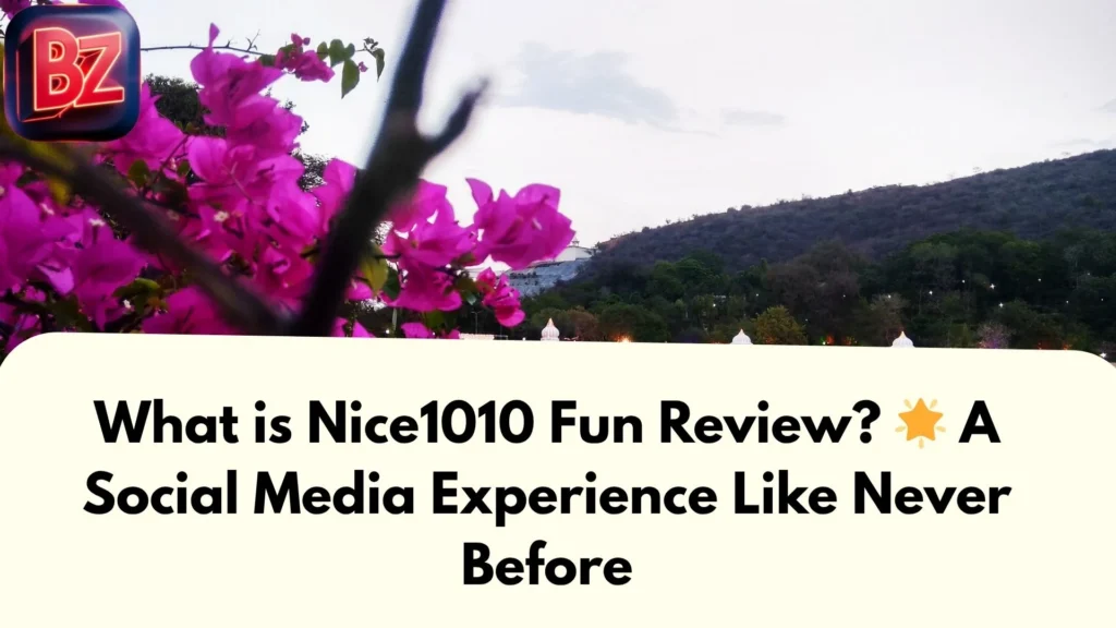What is Nice1010 Fun Review